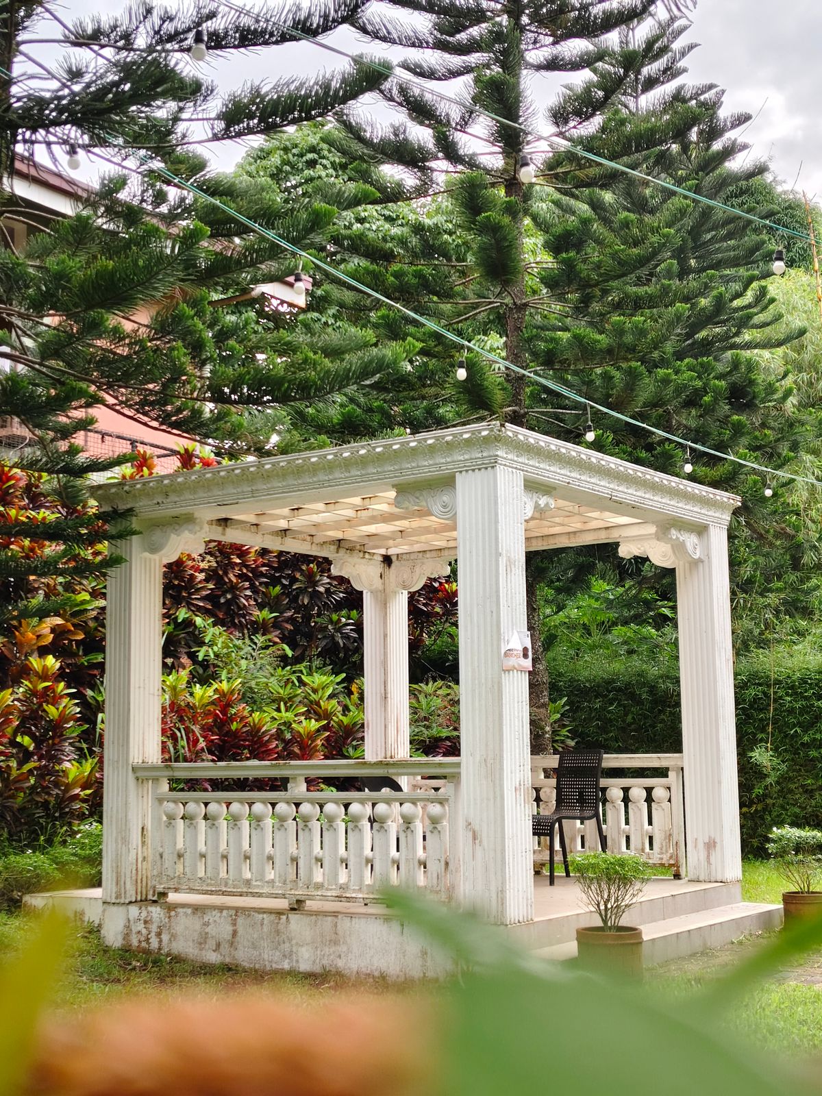 Elegant white gazebo surrounded by greenery
