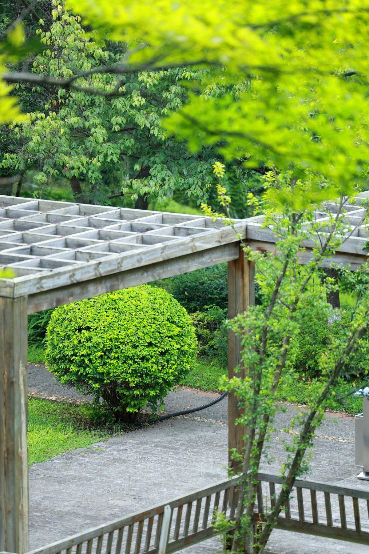 Freestanding pergola in a lush garden