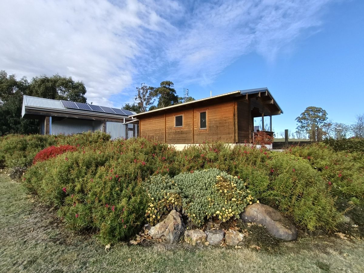 Timber garden room with natural cladding